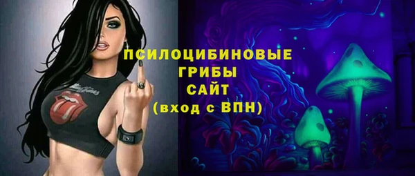 ГАЛЛЮЦИНОГЕННЫЕ ГРИБЫ Балахна