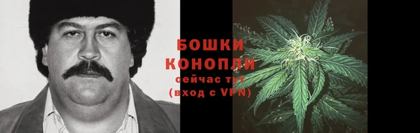 ГАЛЛЮЦИНОГЕННЫЕ ГРИБЫ Балахна