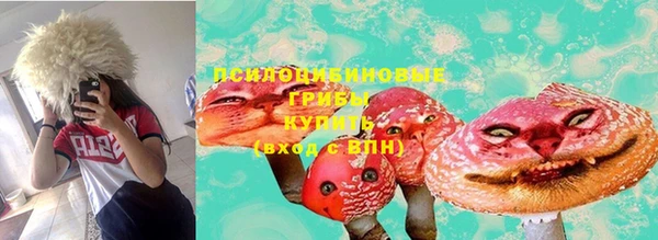 гашик Балабаново