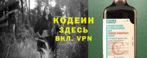 молекула духа Майский