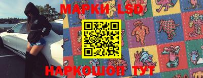 ПСИЛОЦИБИНОВЫЕ ГРИБЫ Новозыбков