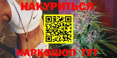альфа пвп Новодвинск