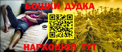 альфа пвп Новодвинск