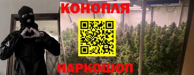 ПСИЛОЦИБИНОВЫЕ ГРИБЫ Новозыбков