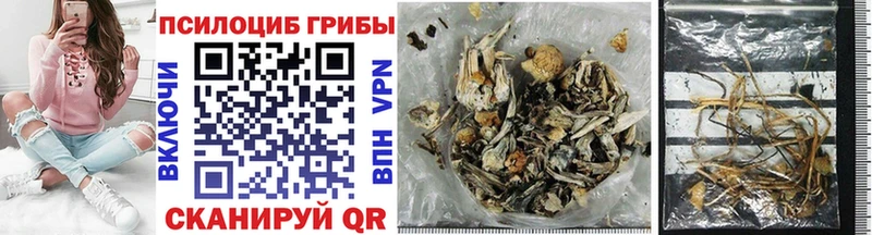 Псилоцибиновые грибы Psilocybine cubensis  блэк спрут сайт  Ульяновск  наркотики 